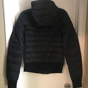 Lightweight Canada Goose